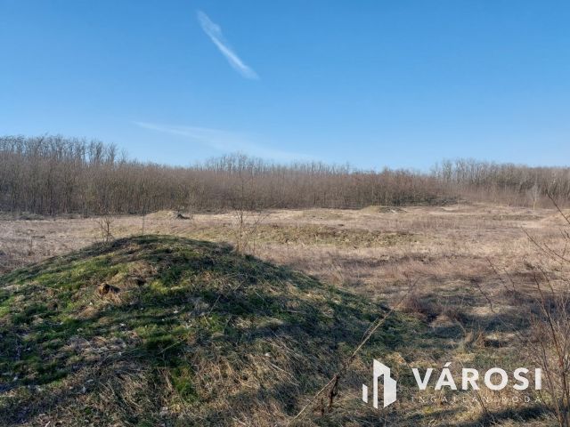 11,8 HA FEJLESZTÉSI TERÜLET HOSSZÚPÁLYIBAN